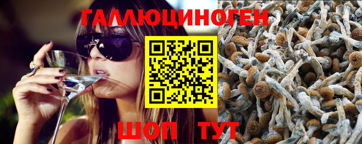 цена   Вход с VPN  Корсаков  Галлюциногенные грибы Psilocybine cubensis 